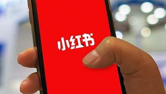 小红书爆料网红事件视频,揭秘小红书热门爆料背后的真相  第2张